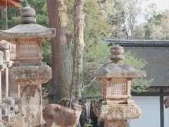 -奈良公园