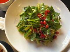 拍黄瓜-辣尚瘾·烤鱼·新川菜(交大直营店)