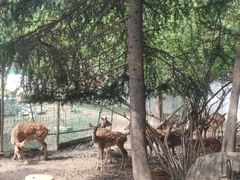 -观唐（国际）度假村温泉