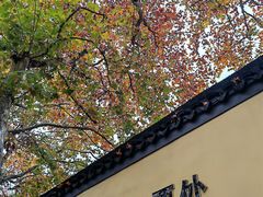-江苏省美术馆(长江路新馆)