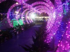 -三亚红色娘子军演艺公园景区