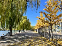 -济南国际园博园