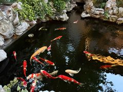 -鲤院·新中式美学·庭院餐厅(夫子庙店)