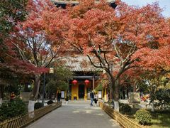 -常熟方塔园