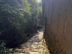 -杨家堂村