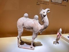 -西安博物院