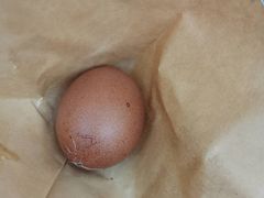 -九园包子(观音桥COSMO店)