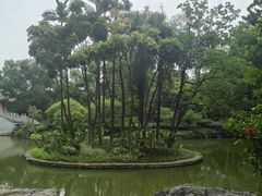 -柳侯公园