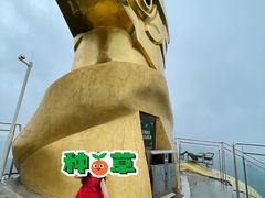 -大金鹰园