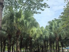 -海珠儿童公园