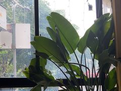 -碧特博格啤酒花园餐厅(芜湖路店)
