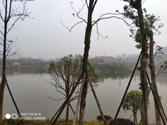 -枫香湖儿童公园