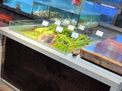 -上座·餐厅(阳光100店)