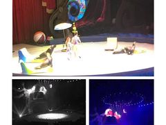 -珠海横琴长隆《卡卡虎奇遇记》