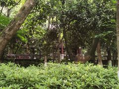 -杭州半山国家森林公园