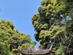 -青城山