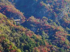 -秦岭终南山世界地质公园翠华山景区