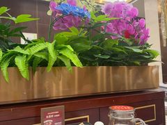 -红菜坊·烤鸭·川鲁宴(石园店)