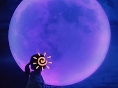-天津梵高星空艺术馆(天河城旗舰店)