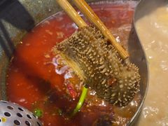 -生活如沸·顺德水牛奶火锅(大学路店)