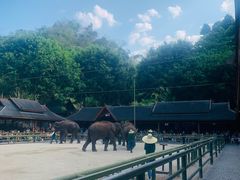 -野象谷景区