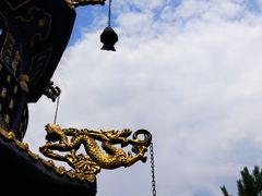 -白洋淀景区