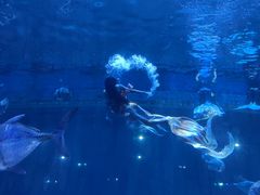 -华夏文旅海洋公园