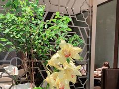 -山里亲戚(淞虹路店)