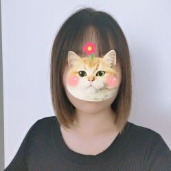 -蚂蚁造型俱乐部
