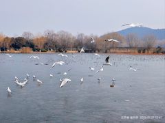 -云龙湖旅游景区