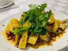 -电白鸭粥店(下沙二坊88号店)