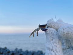 -南汇新城海滩