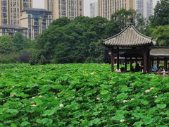 -龙头寺公园