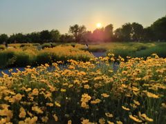 -汉长安城未央宫国家考古遗址公园