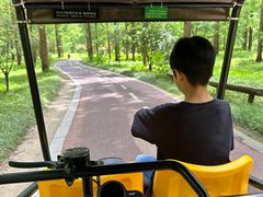 -黄海国家森林公园