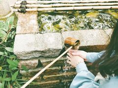 -天目湖山水园