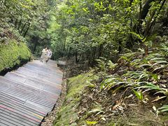 -缙云山景区
