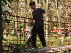 -合肥滨湖国家森林公园