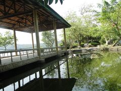 DSC08340-湖光岩风景区