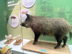 -国家自然博物馆