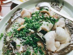 -上海雅居乐万豪侯爵酒店