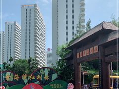 -北海金海湾红树林生态旅游区