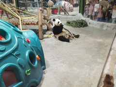 -栾川竹海野生动物园