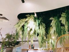 -三个椰子·现砍椰子鸡(金源CBD店)