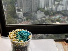 -茶是一枝花泡茶店