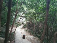 小路-银瓶嘴森林公园