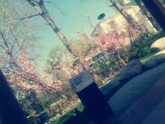 门面-思念果岭悦温泉