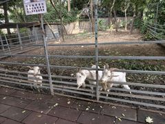 -厦门悦华酒店·绿庭主题自助餐厅