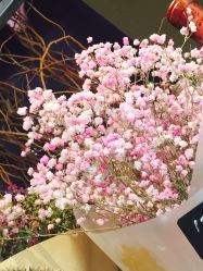 -奈瑞儿美颜塑身SPA