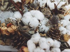 -COTTON CAFE(德信·中外公寓店)